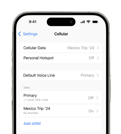 Screenshot of iPhone cellular settings showing multiple SIM cards installed on device